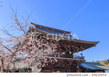 福岡縣福津市梅花宮宮岳 64620950