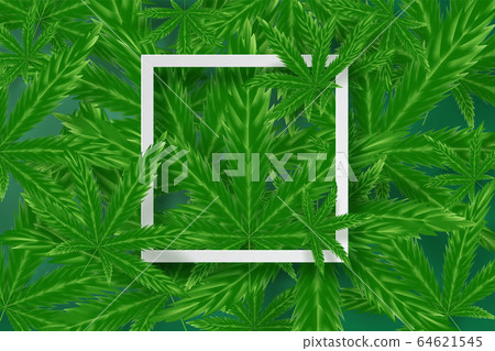 Realistic green cannabis leaf drug marijuana herb Realistic green cannabis leaf drug marijuana herb 64621545