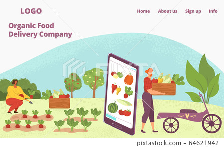 organic food delivery