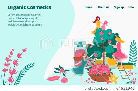 Natural plants for organic cosmetics and parfumes for girls, beauty industry webpage flat cartoon vector illustration. Natural plants for organic cosmetics and parfumes for girls, beauty industry webpage flat cartoon vector illustration. 64621946