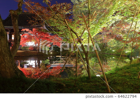 [Kyoto Prefecture] Kodaiji Tsukishin-in illuminated autumn leaves 64622794