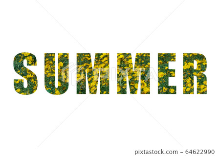Inscription SUMMER with yellow blooming daisy 64622990