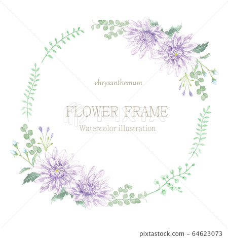 菊花花框水彩插圖 菊花花框水彩插圖 64623073