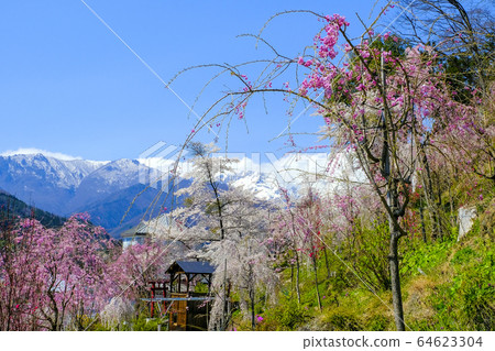 Mt. Hanami and Mt. Snow Mt. Hanami and Mt. Snow 64623304