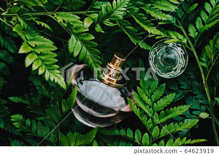Perfume bottle with aromatic tropical scent in nature, luxury fragrance Perfume bottle with aromatic tropical scent in nature, luxury fragrance 64623919