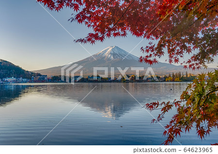 Mt. Fuji Kawaguchiko Autumn leaves Mt. Fuji Kawaguchiko Autumn leaves 64623965