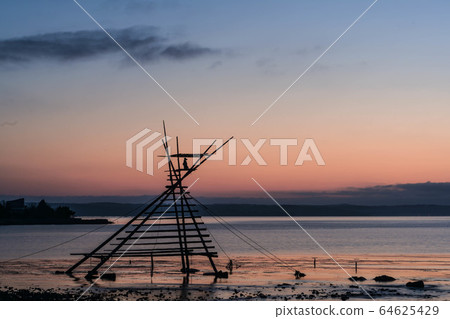 Bora wait queer 64625429