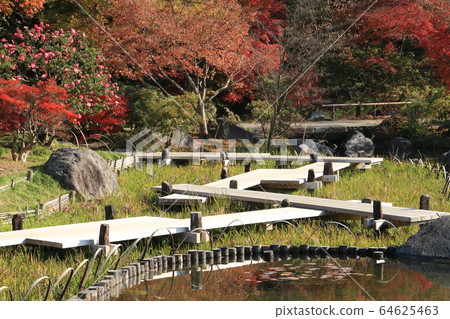 秋天的花園 64625463