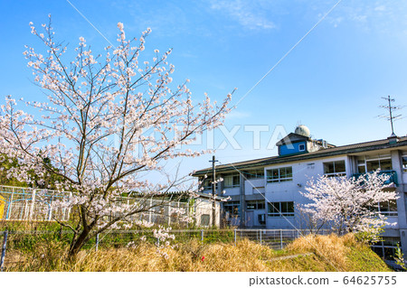Sasebo City Tawara Elementary School closed, historical record [Sasebo City, Nagasaki Prefecture] 64625755