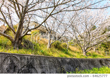 Sasebo City Tawara Elementary School closed, historical record [Sasebo City, Nagasaki Prefecture] 64625777