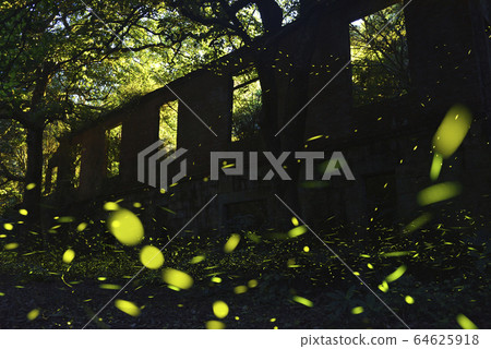 永達礦場遺跡,新北市,三峽區,螢火蟲 64625918