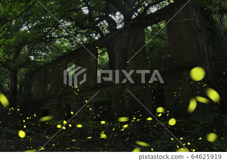 永達礦場遺跡,新北市,三峽區,螢火蟲 64625919