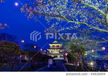 宮城縣戶田郡和谷町春天城山公園盛開的櫻花盛開 宮城縣戶田郡和谷町春天城山公園盛開的櫻花盛開 64626004