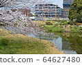 ita玉市/犬沼公園（春季） 64627480