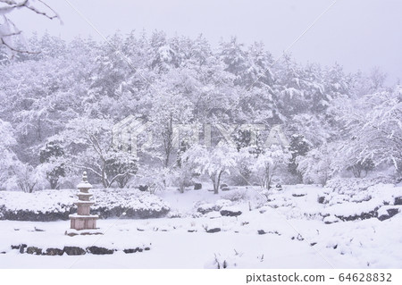 winter winter 64628832