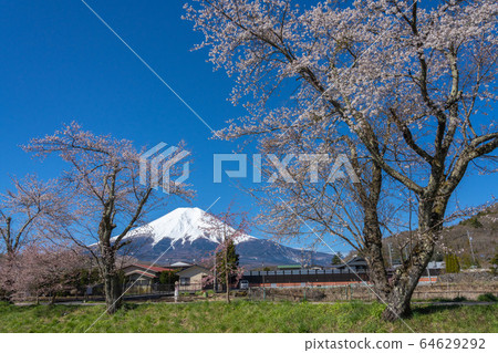 忍野八kai富士山 64629292