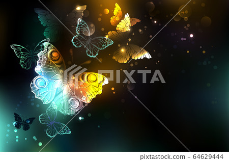 Luminous Butterfly 64629444