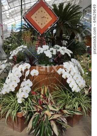 Flower house Flower house 64629649