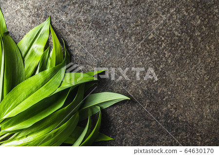 Green wild garlic leaves. Green wild garlic leaves. 64630170