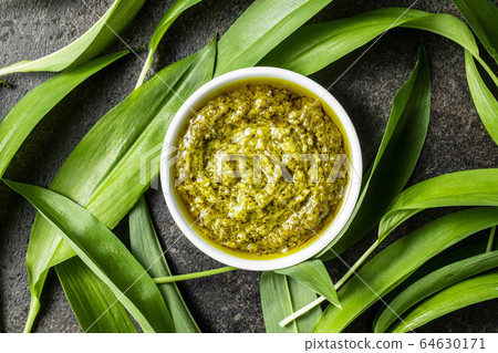Wild garlic pesto and green ramsons leaves. Wild garlic pesto and green ramsons leaves. 64630171