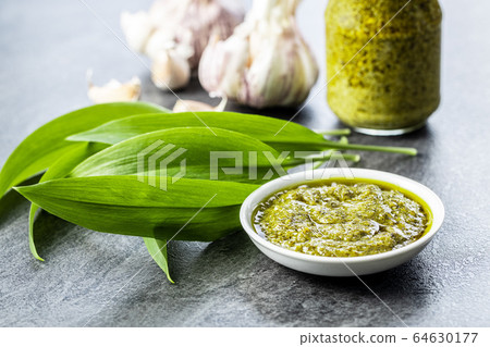 Wild garlic pesto and green ramsons leaves. Wild garlic pesto and green ramsons leaves. 64630177