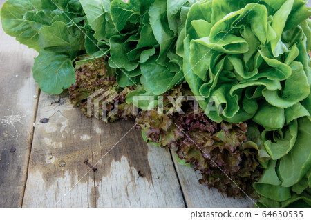 Vegetables of wet on wood. Vegetables of wet on wood. 64630535