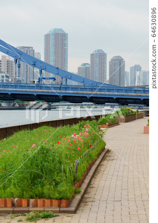 Sumidagawa Terrace 64630896