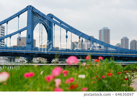 Sumidagawa Terrace 64630897