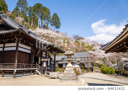 吉峰-DERA 64631432