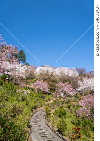 吉峰-DERA 64631437