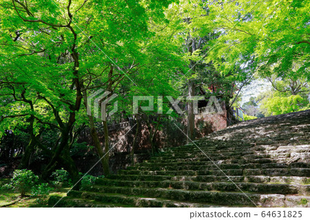 Stairs of Takebayashiji 64631825