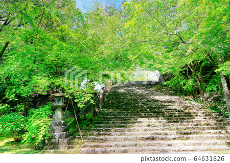 Stairs of Takebayashiji 64631826