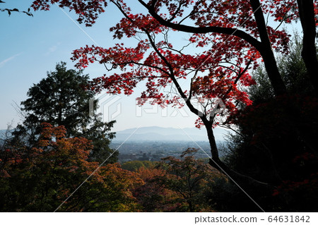京都Bunsein 京都Bunsein 64631842