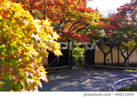 Kyoto Bunsein Kyoto Bunsein 64631844