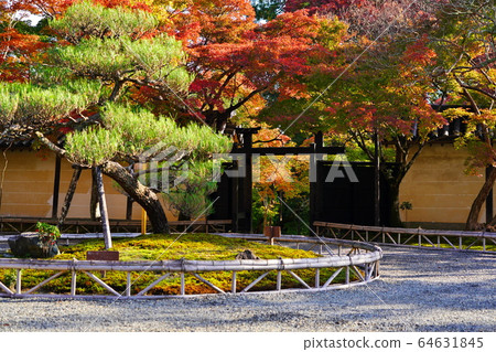 Kyoto Bunsein Kyoto Bunsein 64631845