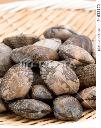 Raw clams Raw clams 64633170