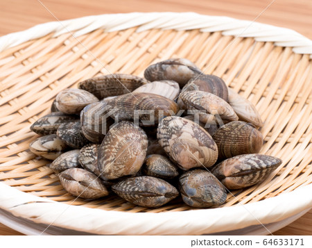 Raw clams Raw clams 64633171