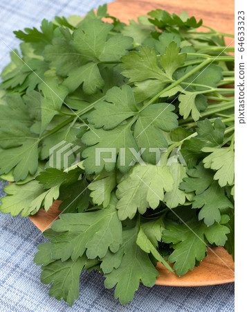 Italian parsley 64633323