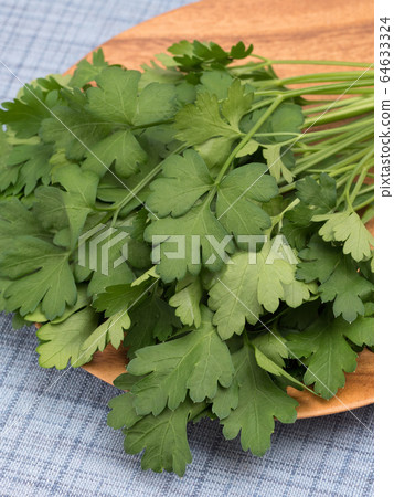 意大利歐芹 意大利歐芹 64633324