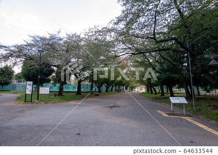 東白公園 東白公園 64633544