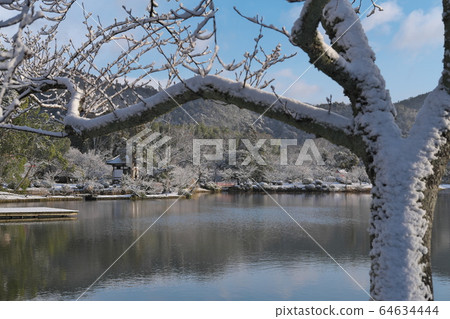 京都大澤池 京都大澤池 64634444