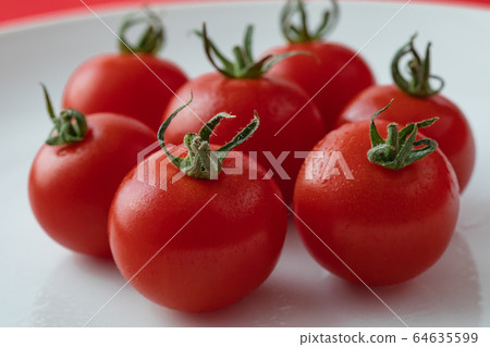 Tomato   64635599