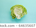lettuce	 64635607