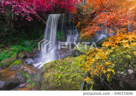 Waterfall scene at Rom Klao Pharadon Waterfalls in rainforest Thailand Waterfall scene at Rom Klao Pharadon Waterfalls in rainforest Thailand 64635806
