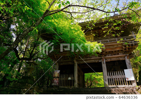 Chikurin吉 64636336