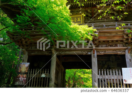 Chikurin吉 Chikurin吉 64636337