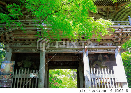 Chikurin吉 Chikurin吉 64636348