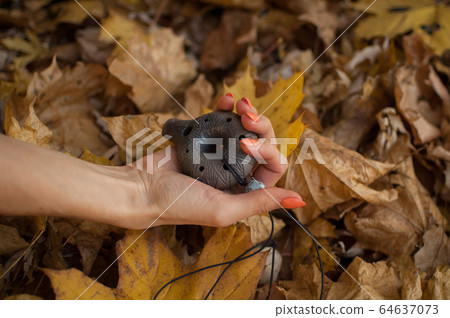 Female hand with orange manicure holds ceramic ocarina in the forest during autumn. Relaxing tranquil scene, traditional music concepts Female hand with orange manicure holds ceramic ocarina in the forest during autumn. Relaxing tranquil scene, traditional music concepts 64637073