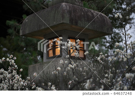 京都千代寺佐賀Sha堂 京都千代寺佐賀Sha堂 64637248