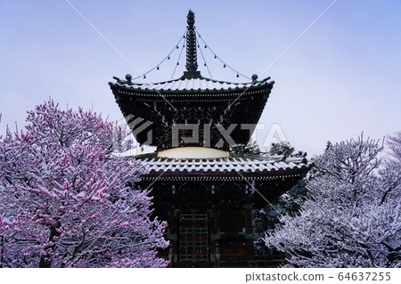 京都千代寺佐賀Sha堂 64637255